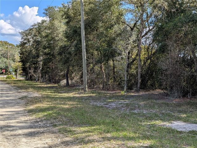 4114 E CAMP IZZARD PLACE, Dunnellon, FL 34434