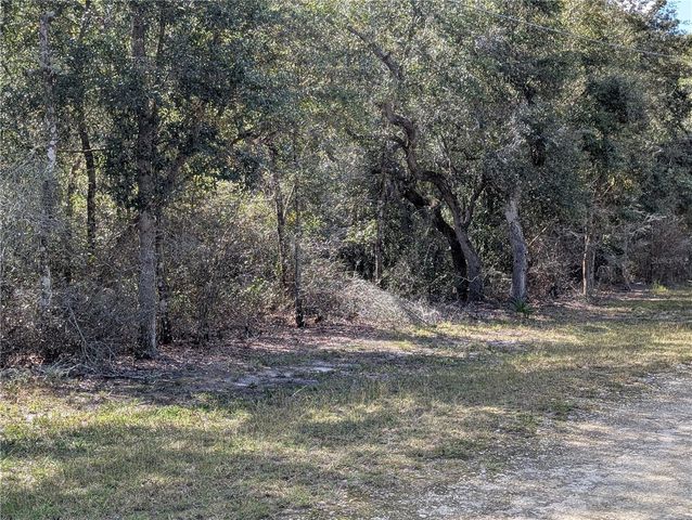 4114 E CAMP IZZARD PLACE, Dunnellon, FL 34434