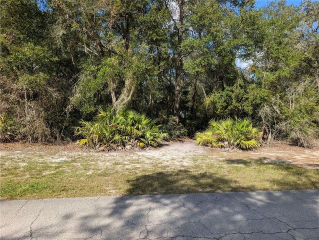 4114 E CAMP IZZARD PLACE, Dunnellon, FL 34434