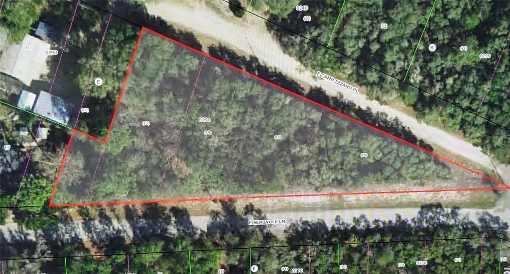 4114 E CAMP IZZARD PLACE, Dunnellon, FL 34434
