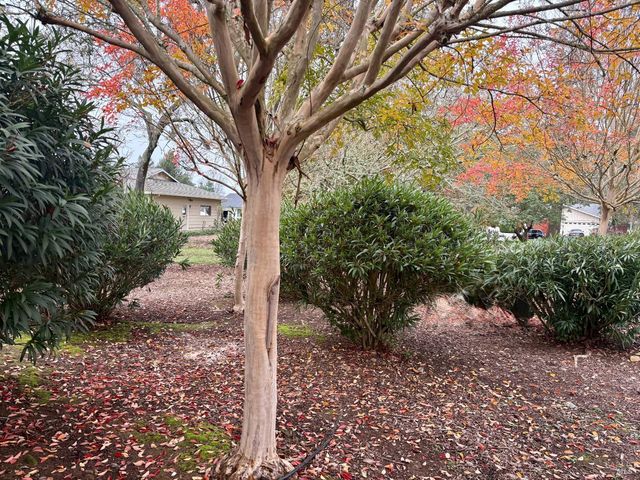 514 Oak Vista Ln, Santa Rosa, CA 95409