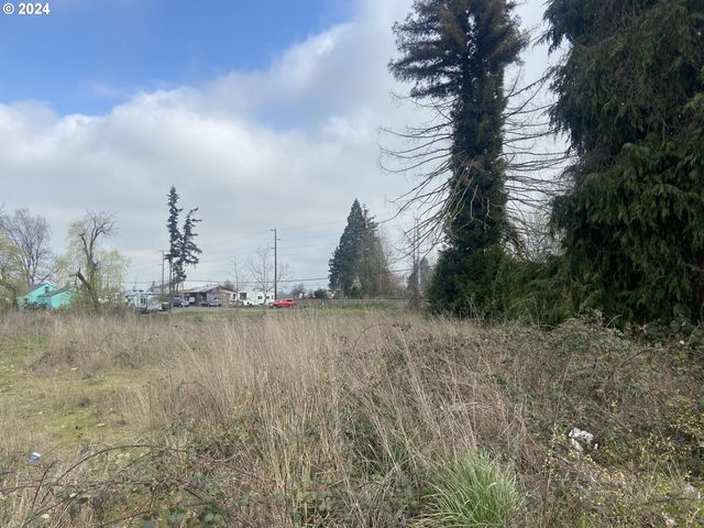 1480 IVY St, Junction City, OR 97448