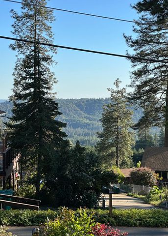 3951 Valley Vista, Camino, CA 95709