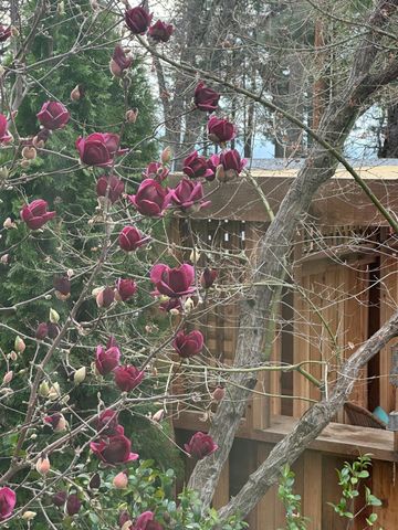 3951 Valley Vista, Camino, CA 95709