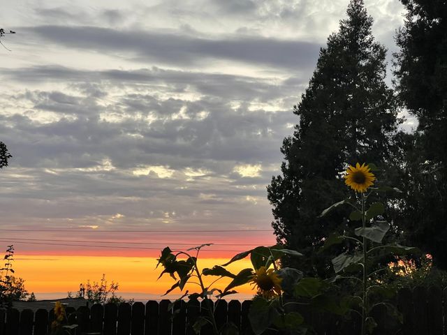 3951 Valley Vista, Camino, CA 95709