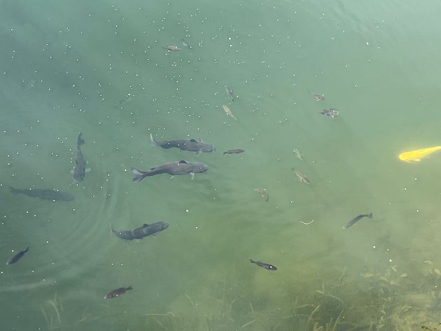 43 Hole In The Wall Court, Wilmington, IL 60481