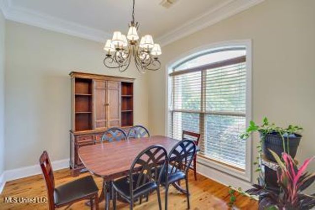 251 Lake Circle, Madison, MS 39110