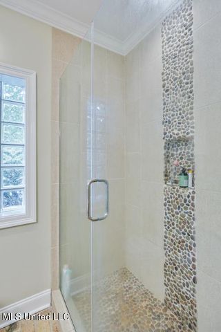 251 Lake Circle, Madison, MS 39110