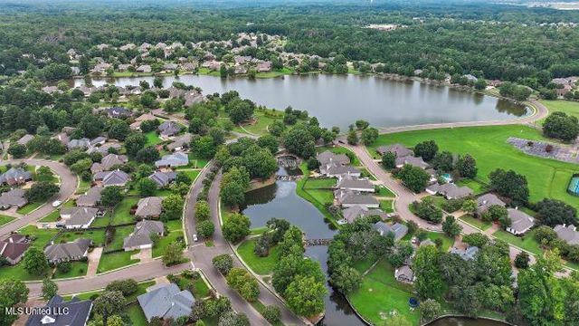 251 Lake Circle, Madison, MS 39110