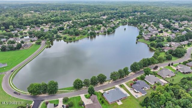 251 Lake Circle, Madison, MS 39110