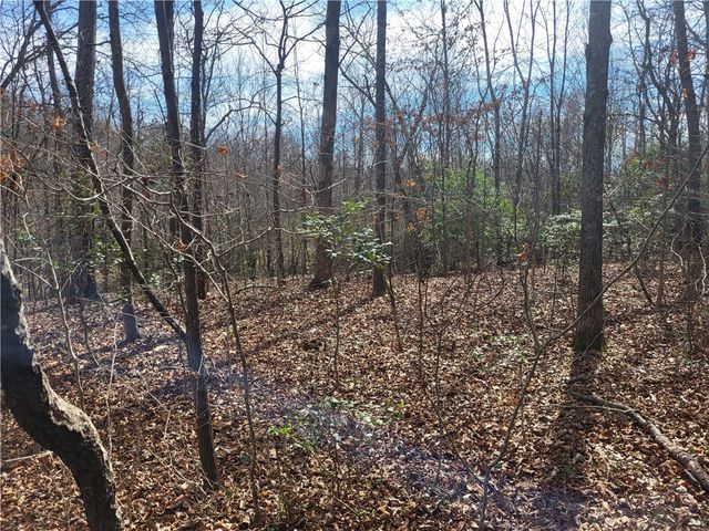 110A Willingham Road, Belton, SC 29627