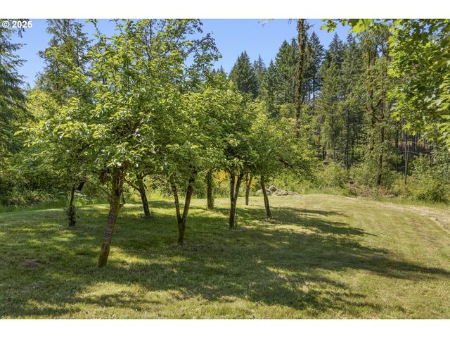20766 Nw FAIRDALE Rd, Yamhill, OR 97148