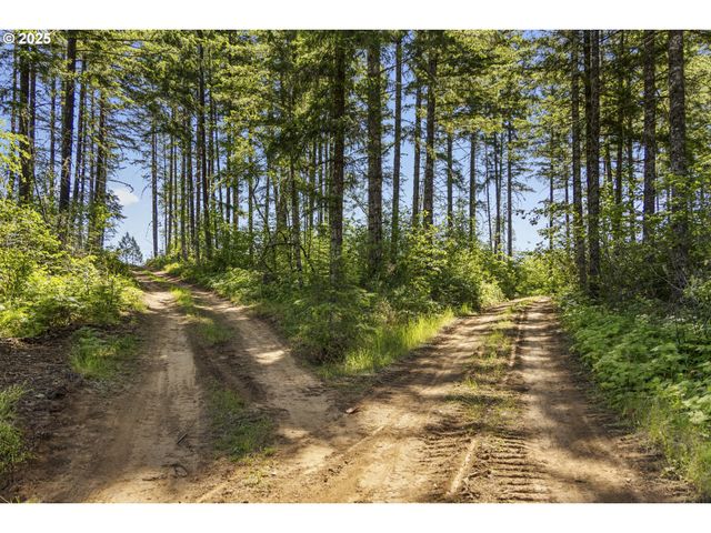 20766 Nw FAIRDALE Rd, Yamhill, OR 97148