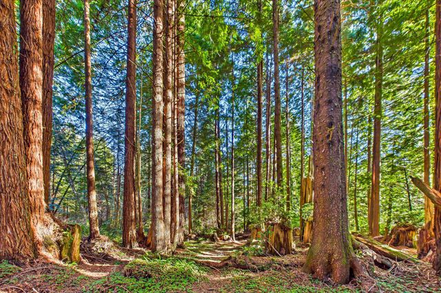 1700 Ferndale Lane, Crescent City, CA 95531