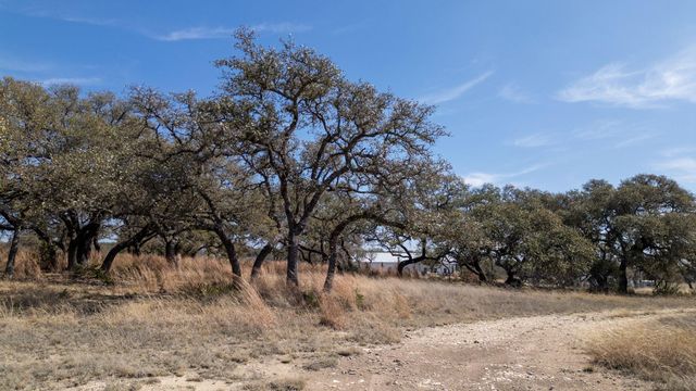 TBD Blackbuck Ridge DR, Lampasas, TX 76550