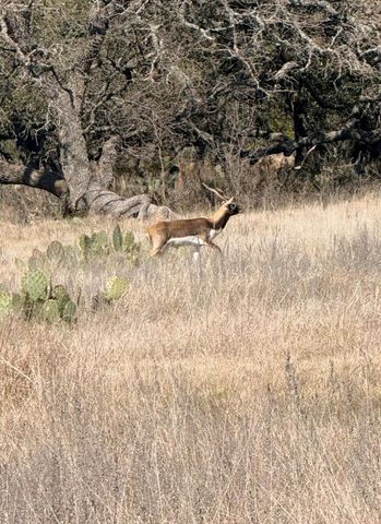 TBD Blackbuck Ridge DR, Lampasas, TX 76550