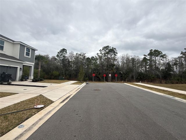 3714 SEPIA STREET, Kissimmee, FL 34758