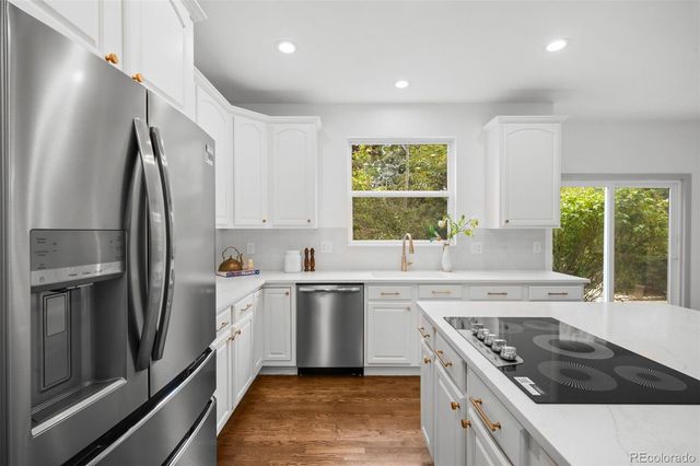 869 Shadowstone Drive, Highlands Ranch, CO 80129
