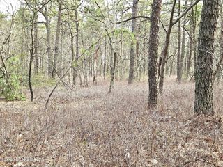 17 Birchwood Drive, Tuckerton, NJ 08087