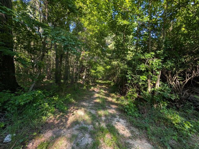 10842 Jefferies, Walterboro, SC 29488
