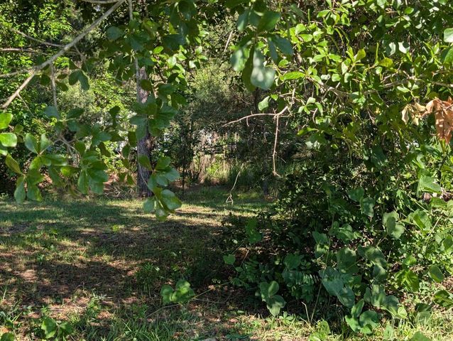 10842 Jefferies, Walterboro, SC 29488