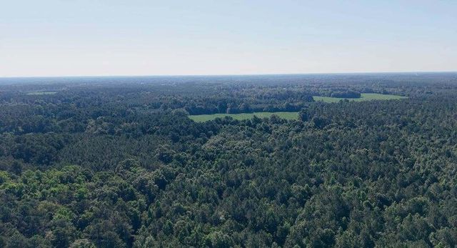10842 Jefferies, Walterboro, SC 29488