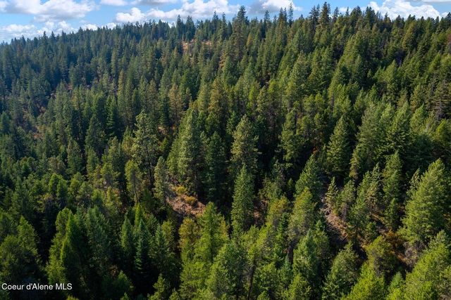 NNA Horn Mountain Rd, Priest River, ID 83856