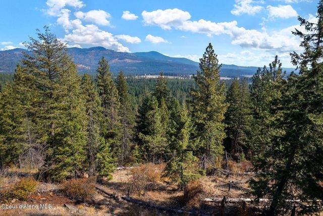 NNA Horn Mountain Rd, Priest River, ID 83856