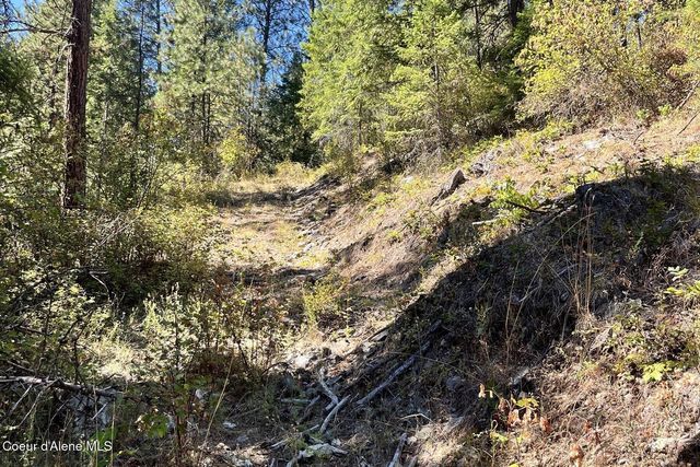 NNA Horn Mountain Rd, Priest River, ID 83856