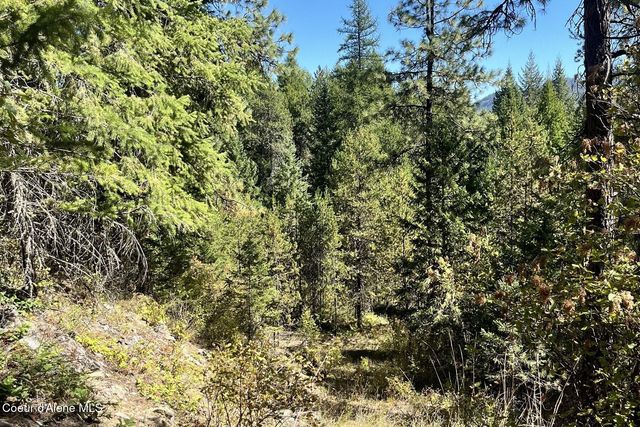 NNA Horn Mountain Rd, Priest River, ID 83856