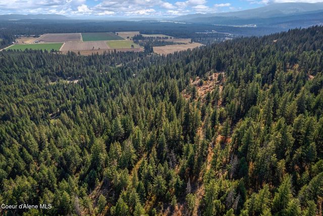 NNA Horn Mountain Rd, Priest River, ID 83856