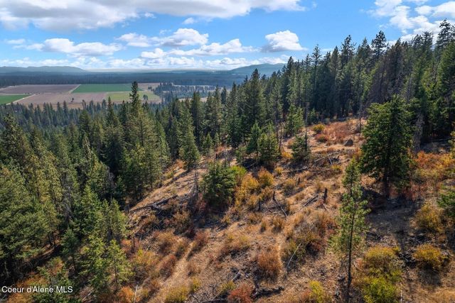 NNA Horn Mountain Rd, Priest River, ID 83856