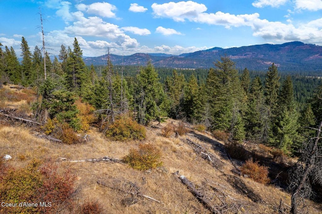 NNA Horn Mountain Rd, Priest River, ID 83856