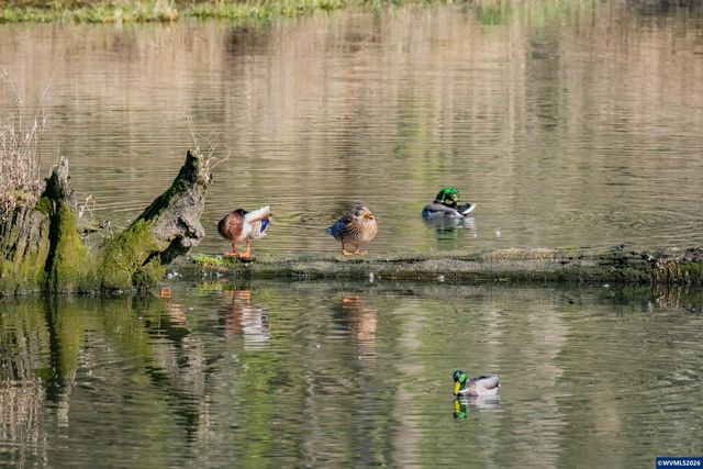 6182 Lakeshore Ct N, Keizer, OR 97303