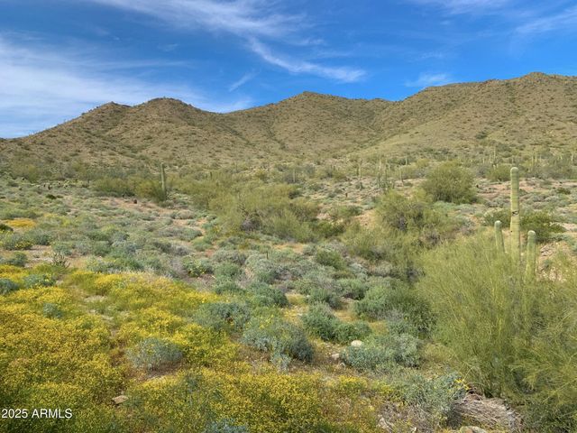 41018 N Prestancia Drive, Anthem, AZ 85086