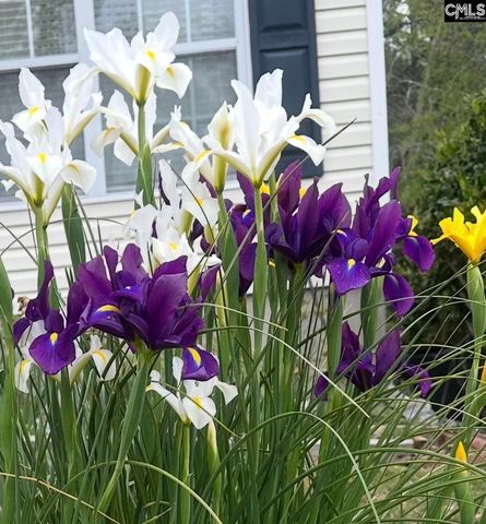 1017 Aderley Oak Drive, Irmo, SC 29063