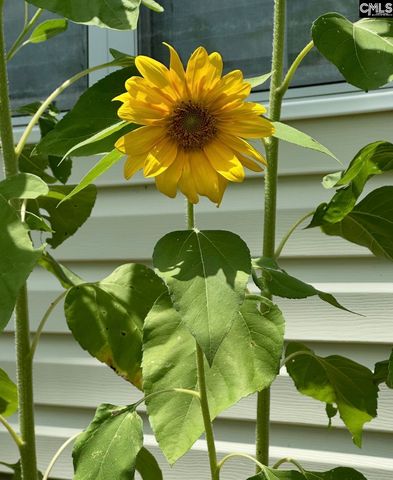 1017 Aderley Oak Drive, Irmo, SC 29063