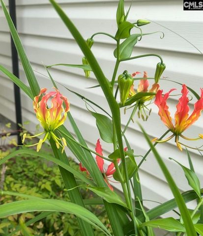 1017 Aderley Oak Drive, Irmo, SC 29063