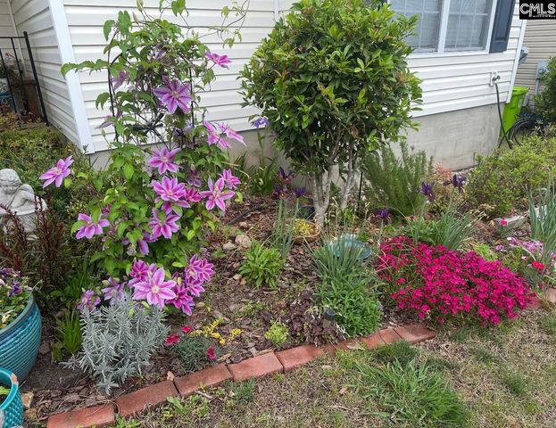 1017 Aderley Oak Drive, Irmo, SC 29063