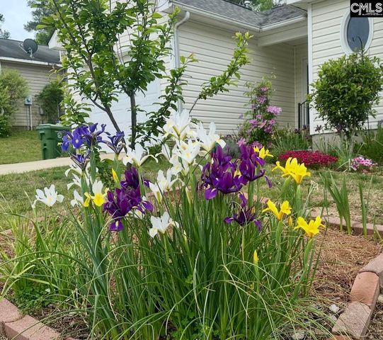 1017 Aderley Oak Drive, Irmo, SC 29063