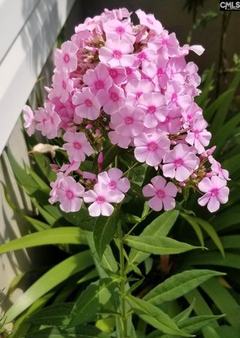 1017 Aderley Oak Drive, Irmo, SC 29063