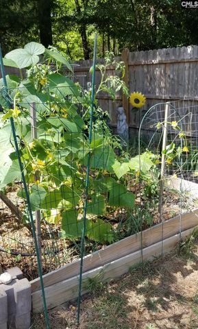 1017 Aderley Oak Drive, Irmo, SC 29063