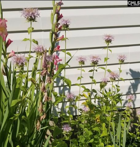 1017 Aderley Oak Drive, Irmo, SC 29063