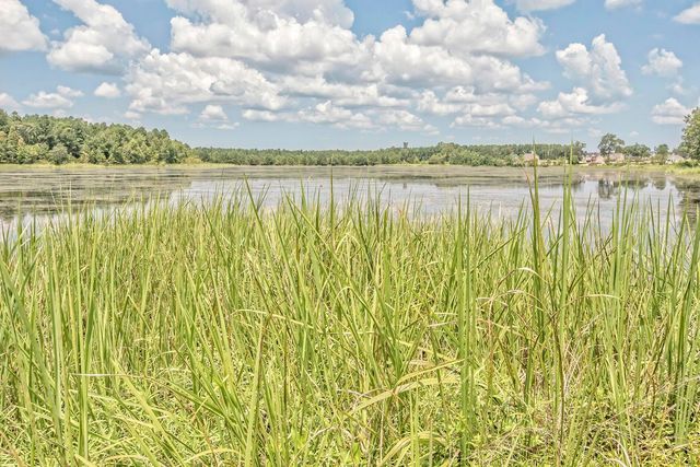 128 Red Leaf Boulevard, Moncks Corner, SC 29461