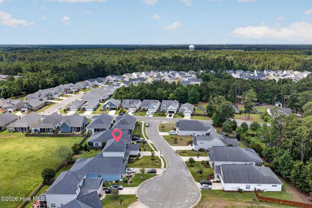 4212 Dutch Cove Court, Castle Hayne, NC 28429