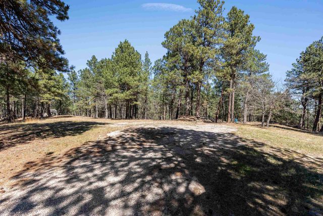 5418 STONE TREE CT, Piedmont, SD 57769