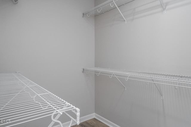 1116 Kingston Grove Drive, Cary, NC 27519