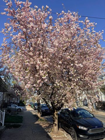 450 LEVERINGTON AVE, Philadelphia, PA 19128