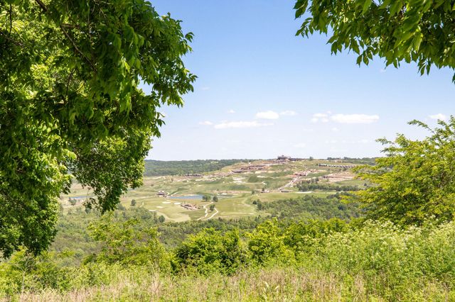 139 Wolf Trail, Hollister, MO 65672
