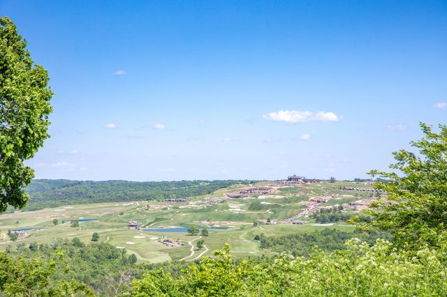 139 Wolf Trail, Hollister, MO 65672